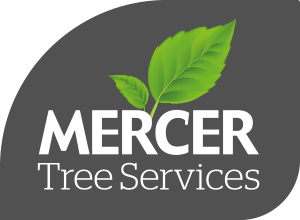 Mercer Tree Services Ltd