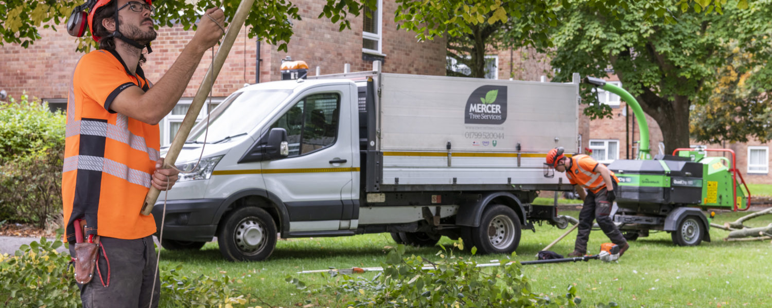 Domestic Tree Services