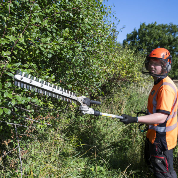 Hedge Cutting