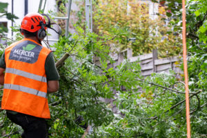 Land or Garden Clearance