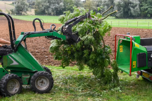 Tree Removal