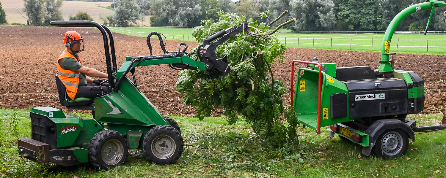 Tree Removal